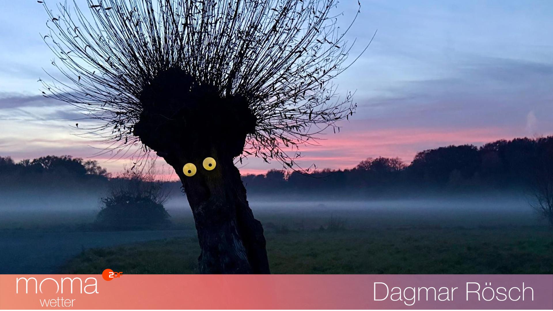 Gewinnerfoto vom 14. November 2025