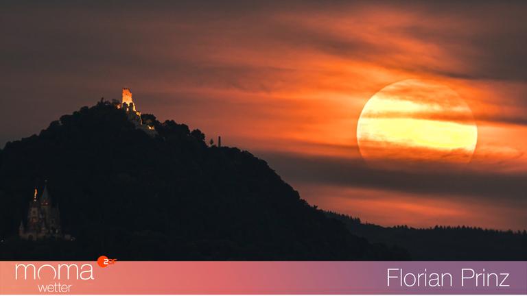 Gewinnerfoto vom 17. Juni 2022