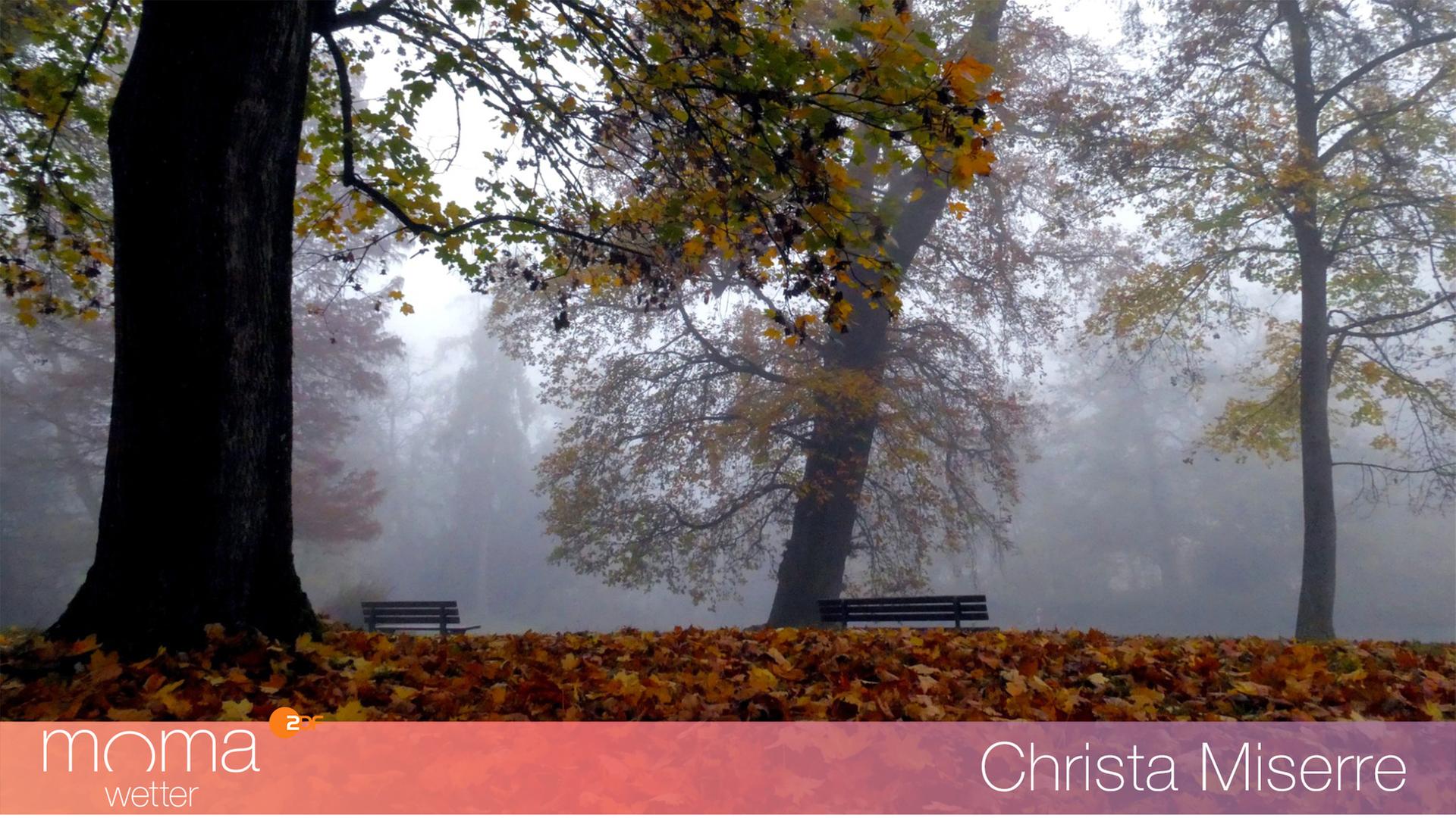 Gewinnerfoto vom 18. November 2022