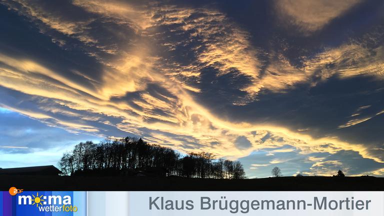 Gewinnerfoto vom 20. Dezember 2019