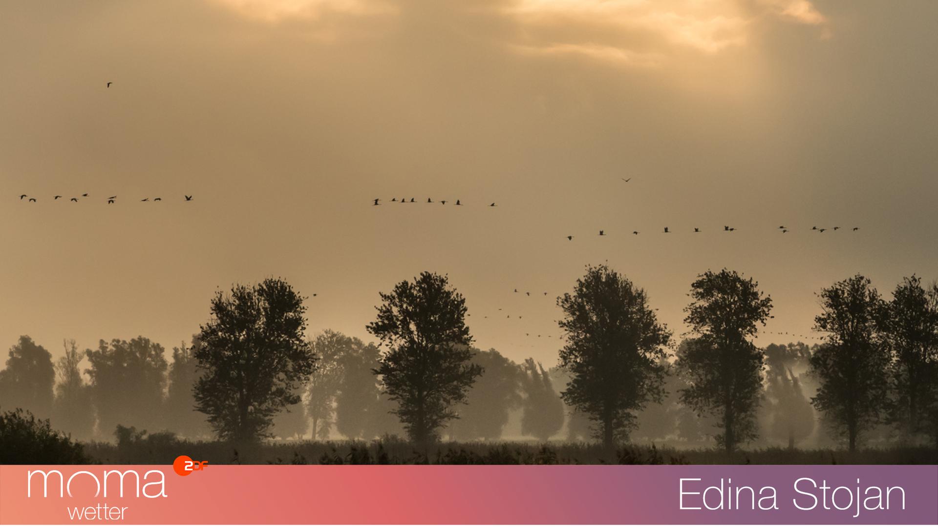 Gewinnerfoto vom 20. Oktober 2023