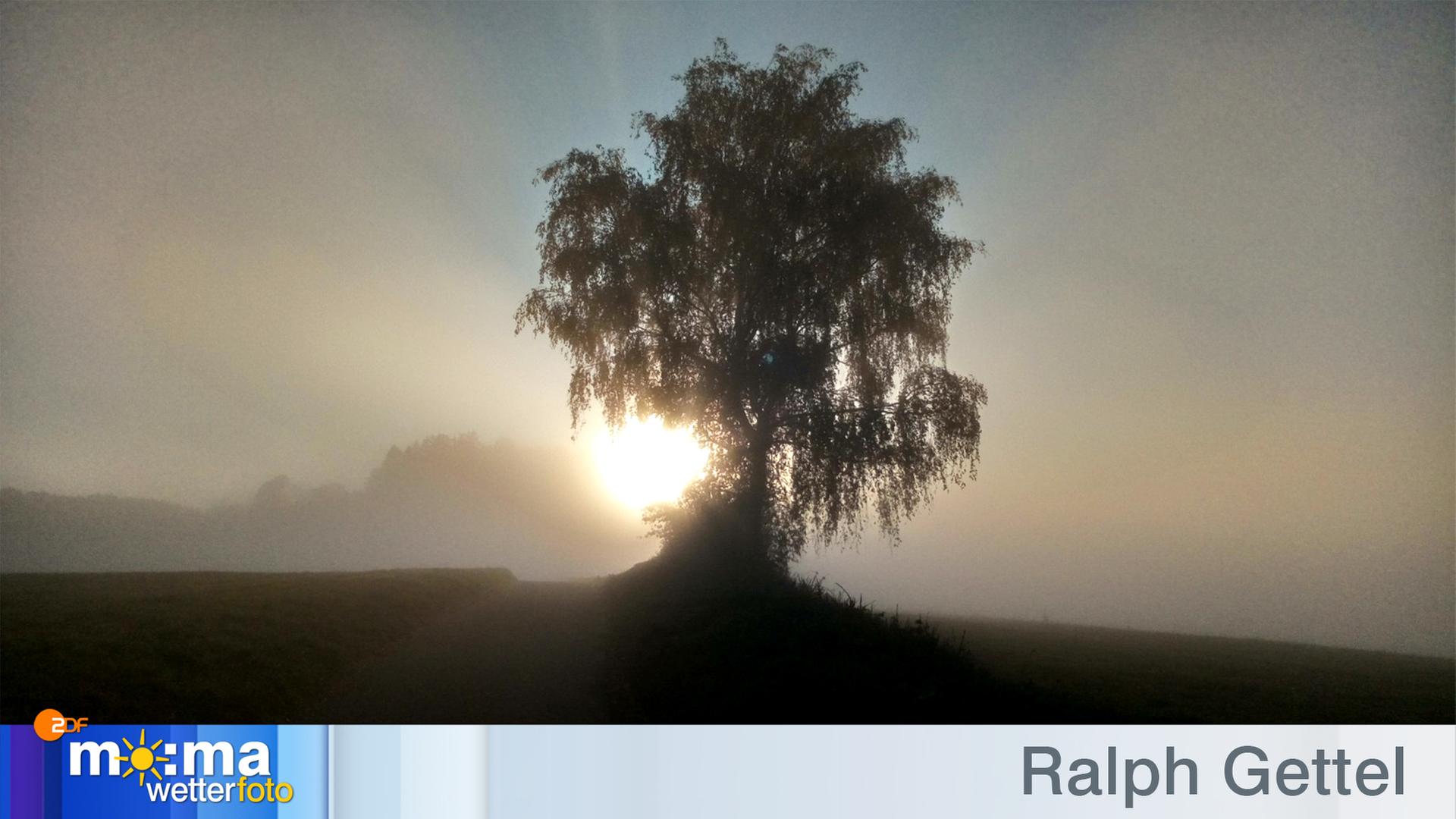Gewinnerfoto vom 22. November 2019