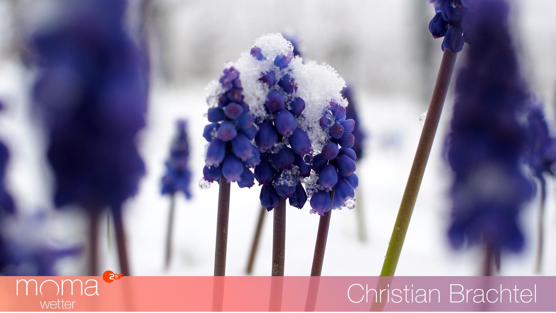 Gewinnerfoto-vom-8-April-2022-