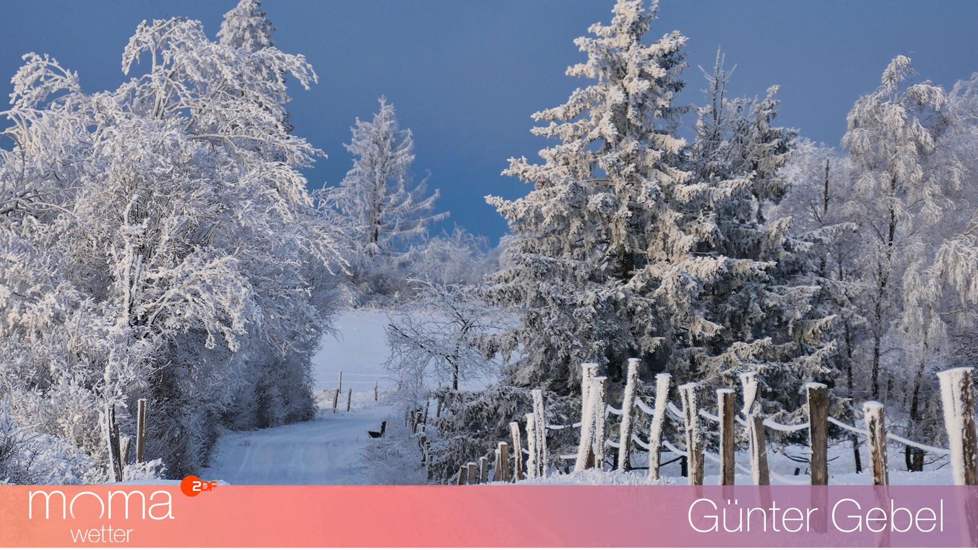 Gewinnerfoto vom 9. Januar 2026