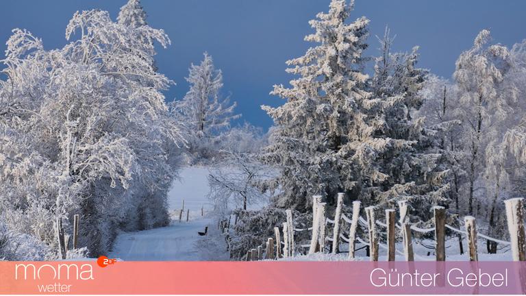 Gewinnerfoto vom 9. Januar 2026