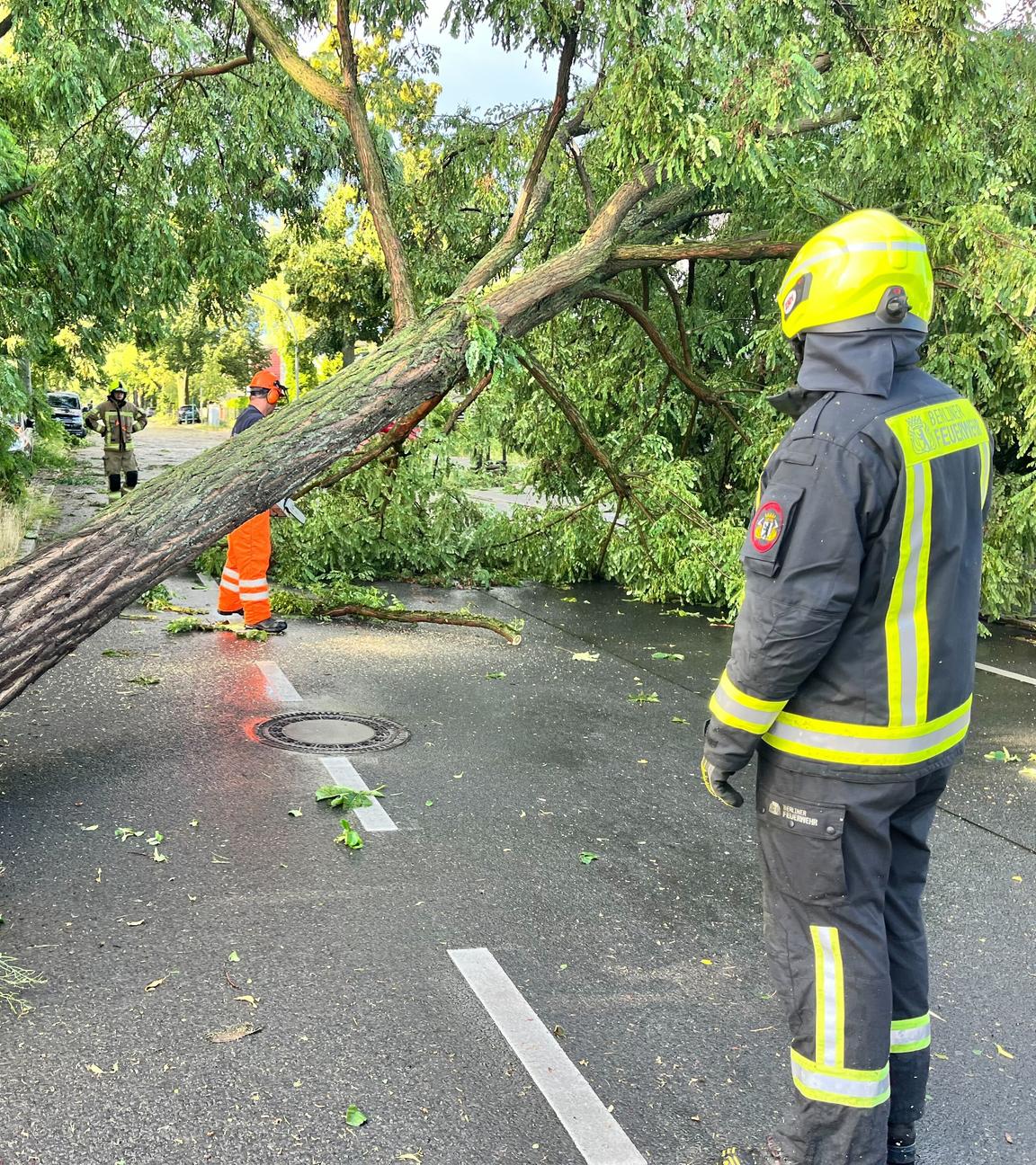 Berliner Einsatzkräfte der Feuerwehr arbeiten auf einer Straße, die durch einen durch schwere Böen entwurzelten Baum, blockiert ist. 