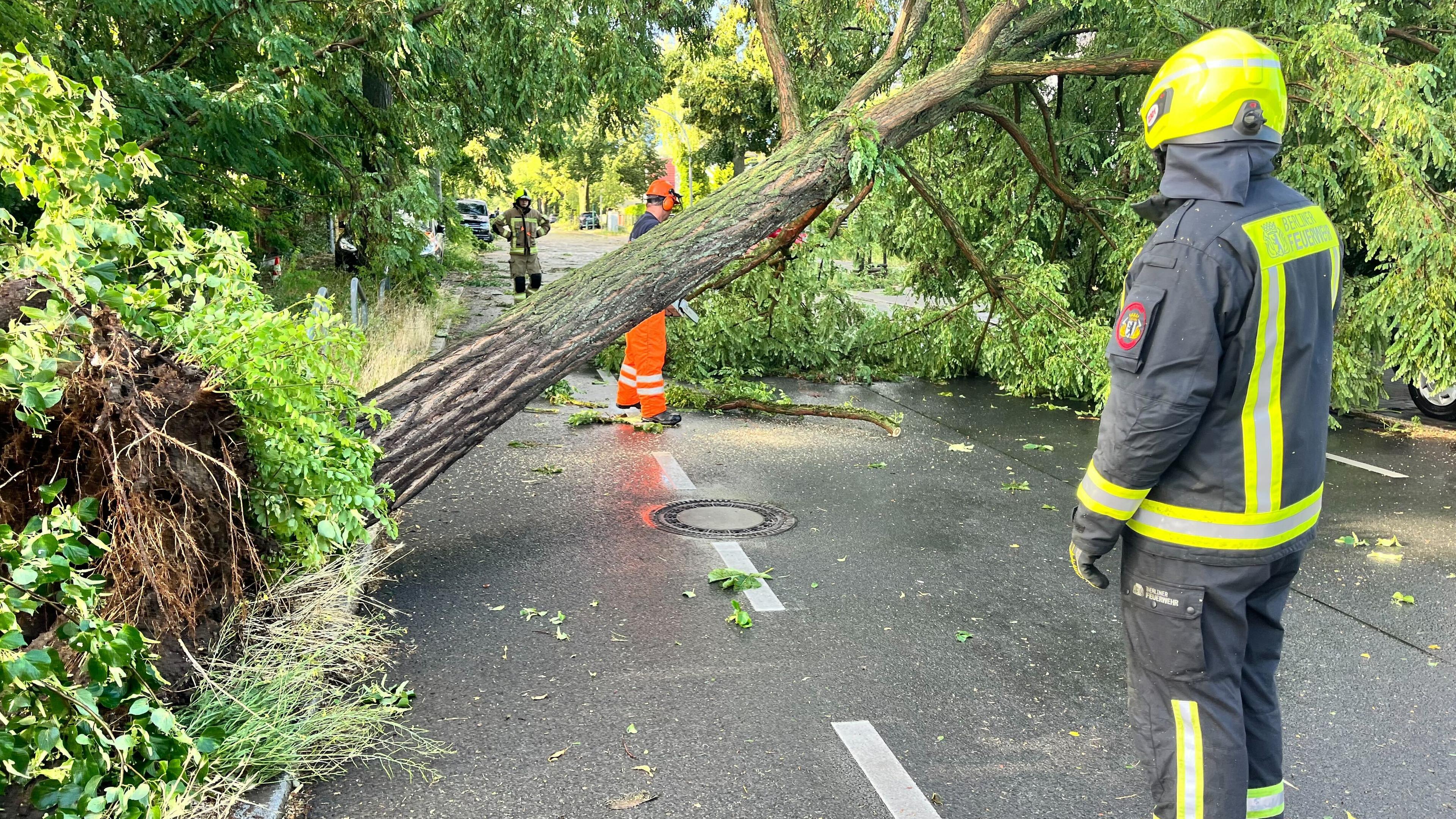 Berliner Einsatzkräfte der Feuerwehr arbeiten auf einer Straße, die durch einen durch schwere Böen entwurzelten Baum, blockiert ist. 