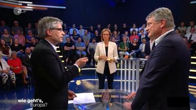Sven Giegold und Jörg Meuthen im Duell