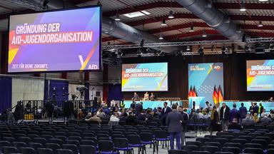 Gründung von AfD-Jugend: Postenbesetzung im Eilverfahren