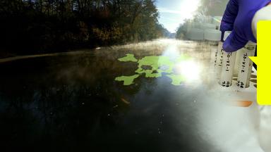 Bild eines idyllischen Flusslaufes, in dem sich ein grüner Totenkopf abzeichnet. Rechts eine Hand in Laborhandschuhen mit mehreren Reagenzgläschen