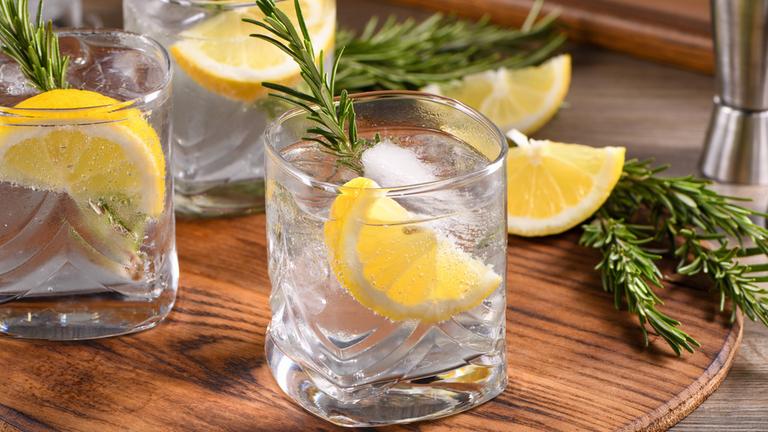 Gin Tonic Cocktail angerichtet mit Zitrone und Rosmarin.