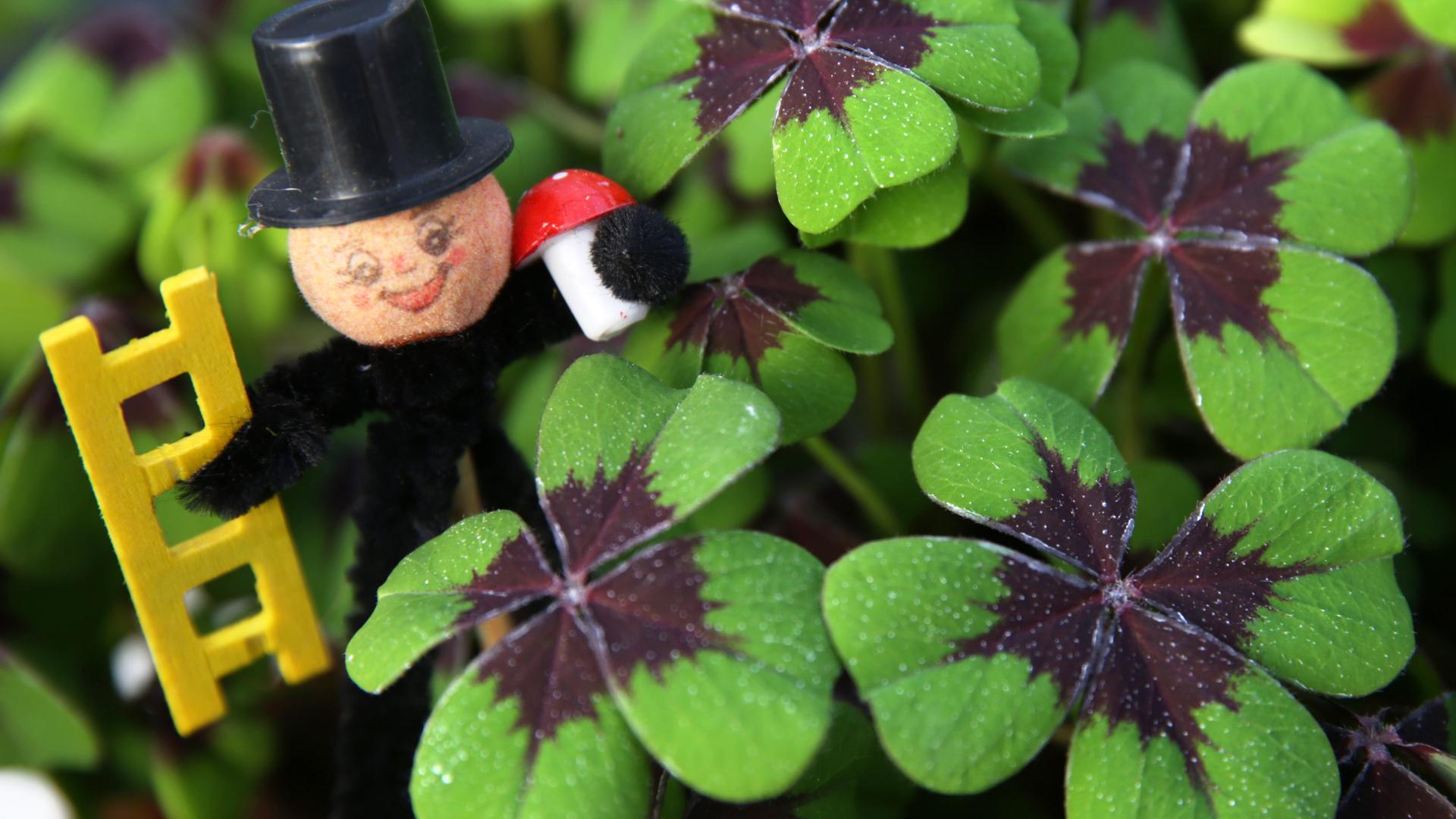 Kleeblätter, Schornsteinfeger und Fliegenpilz