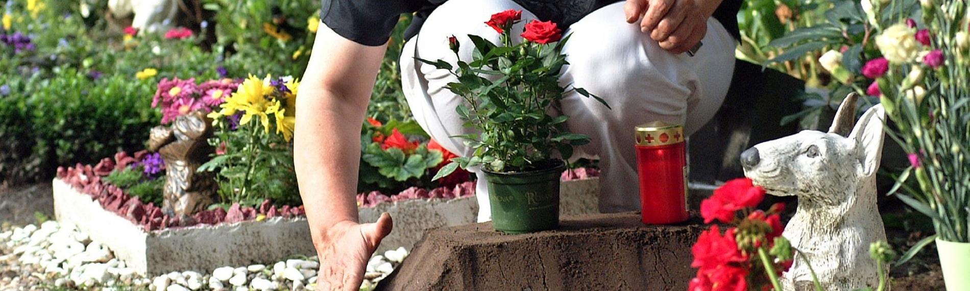 Frau pflegt Grab auf Tierfriedhof