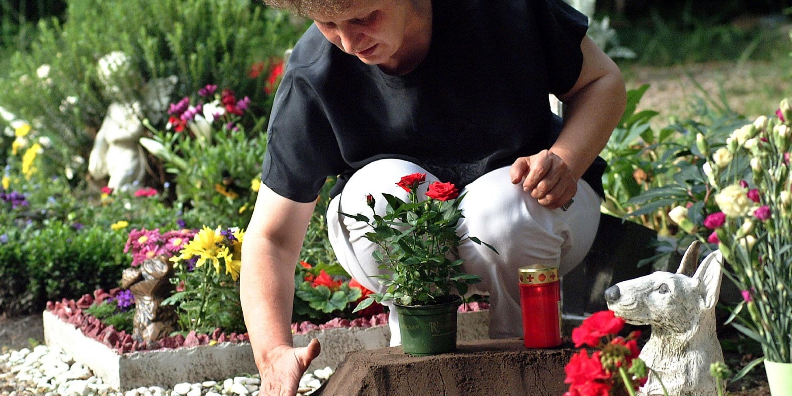 Frau pflegt Grab auf Tierfriedhof