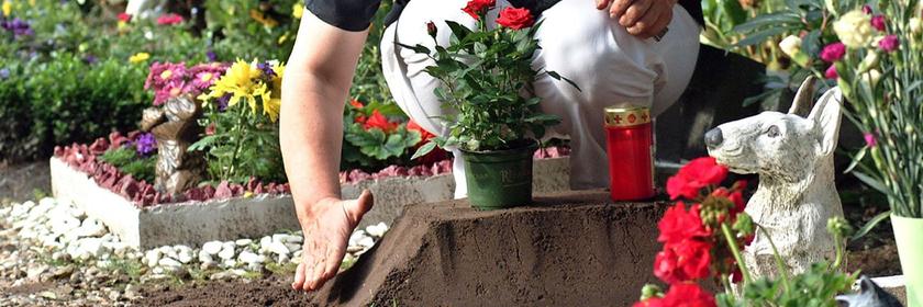 Frau pflegt Grab auf Tierfriedhof