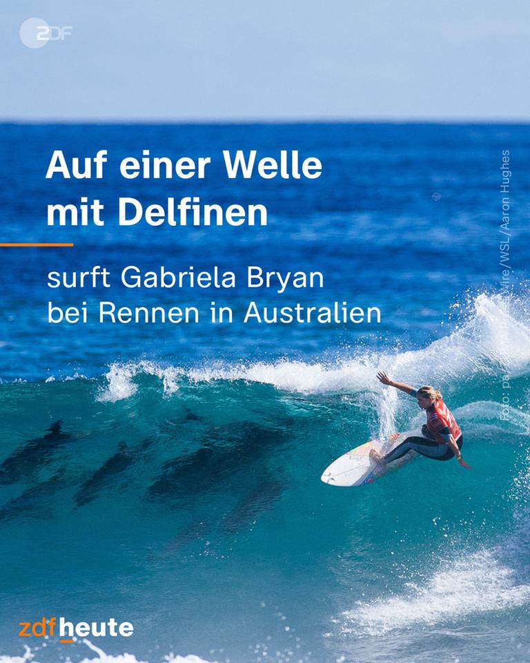Grafik: Auf einer Welle mit Delfinen