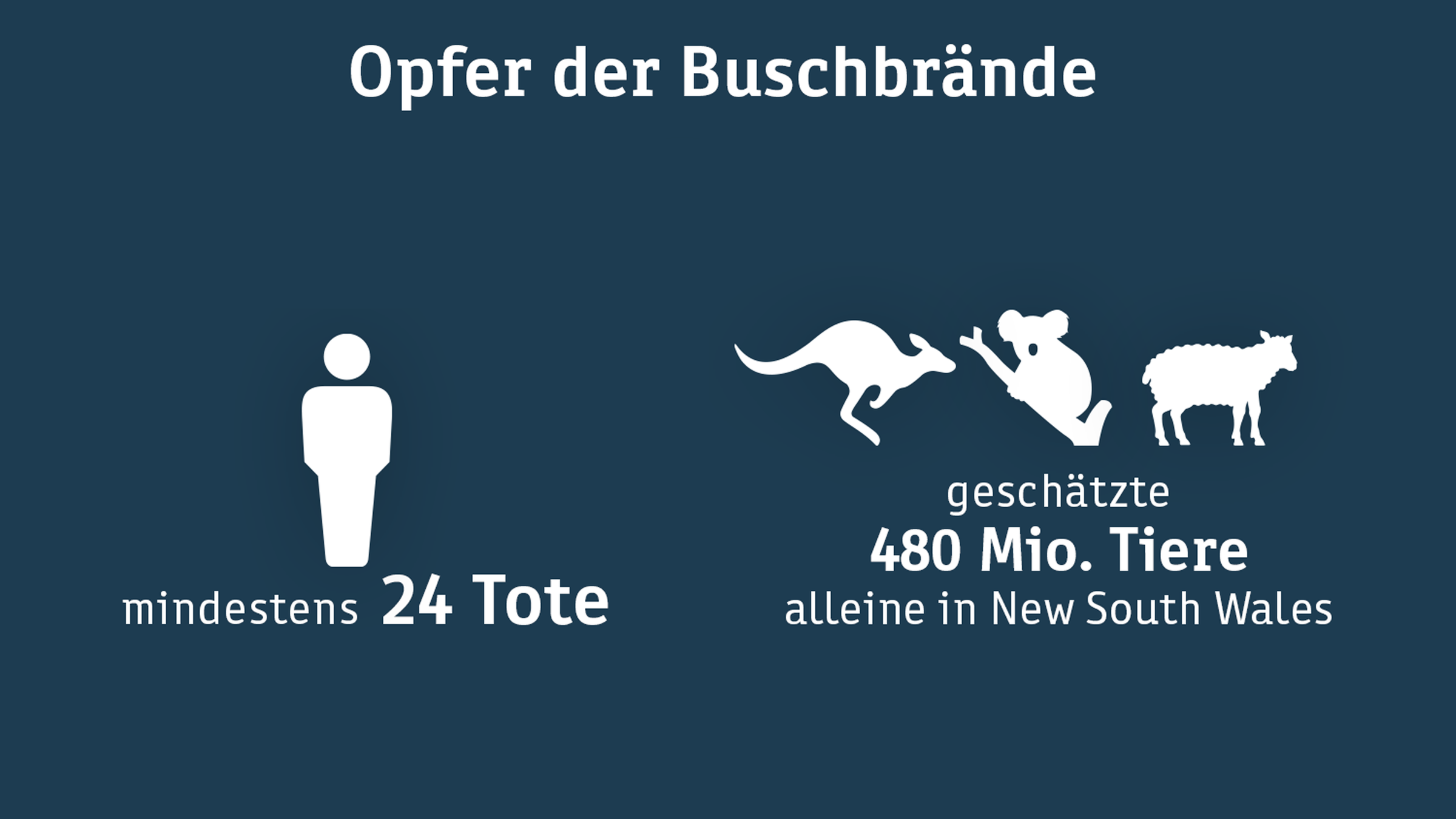 Opferzahlen der Buschbrände in Australien (Stand 06.01.2020).