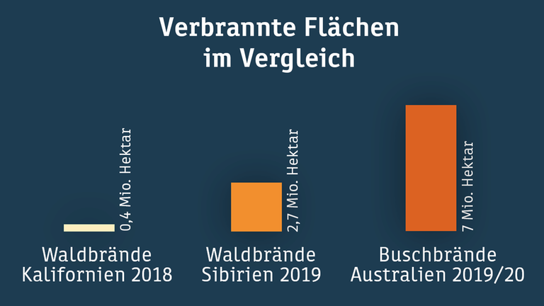 Vergleich der verbrannten Waldflächen.