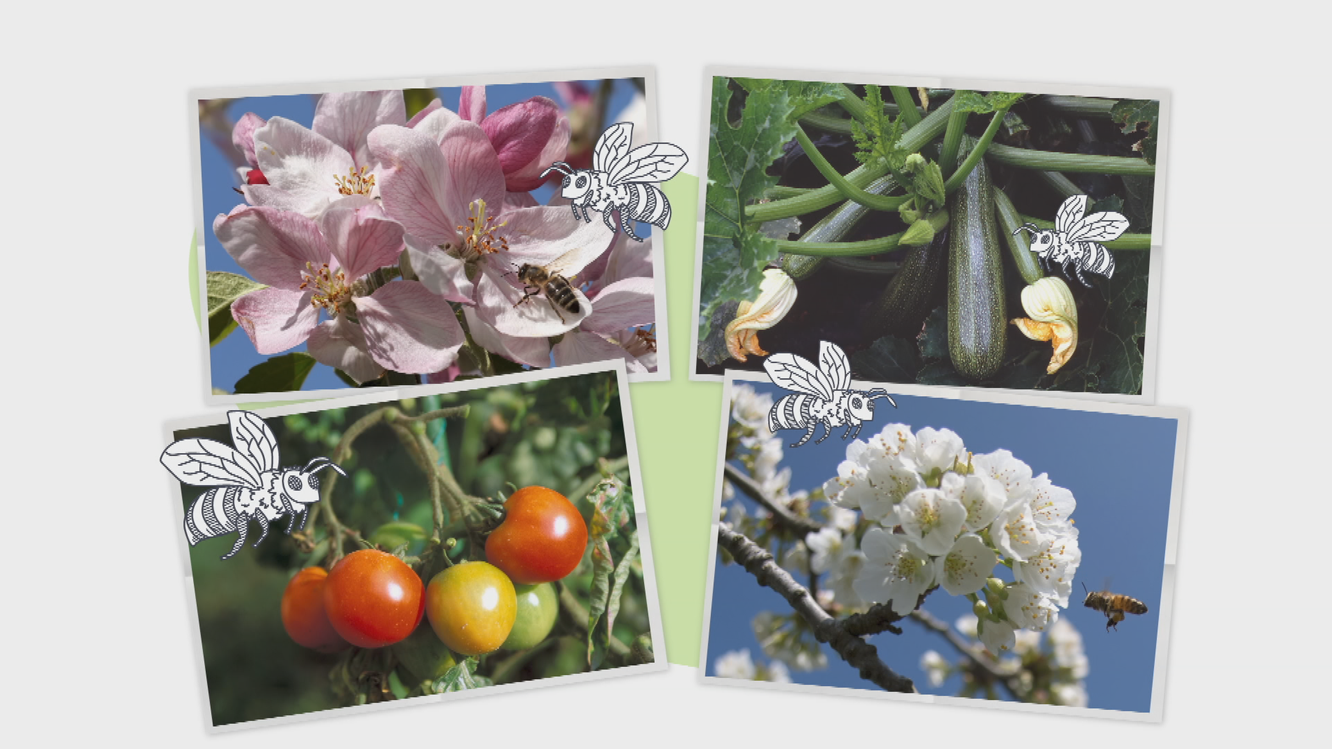 Grafik: Bienen 