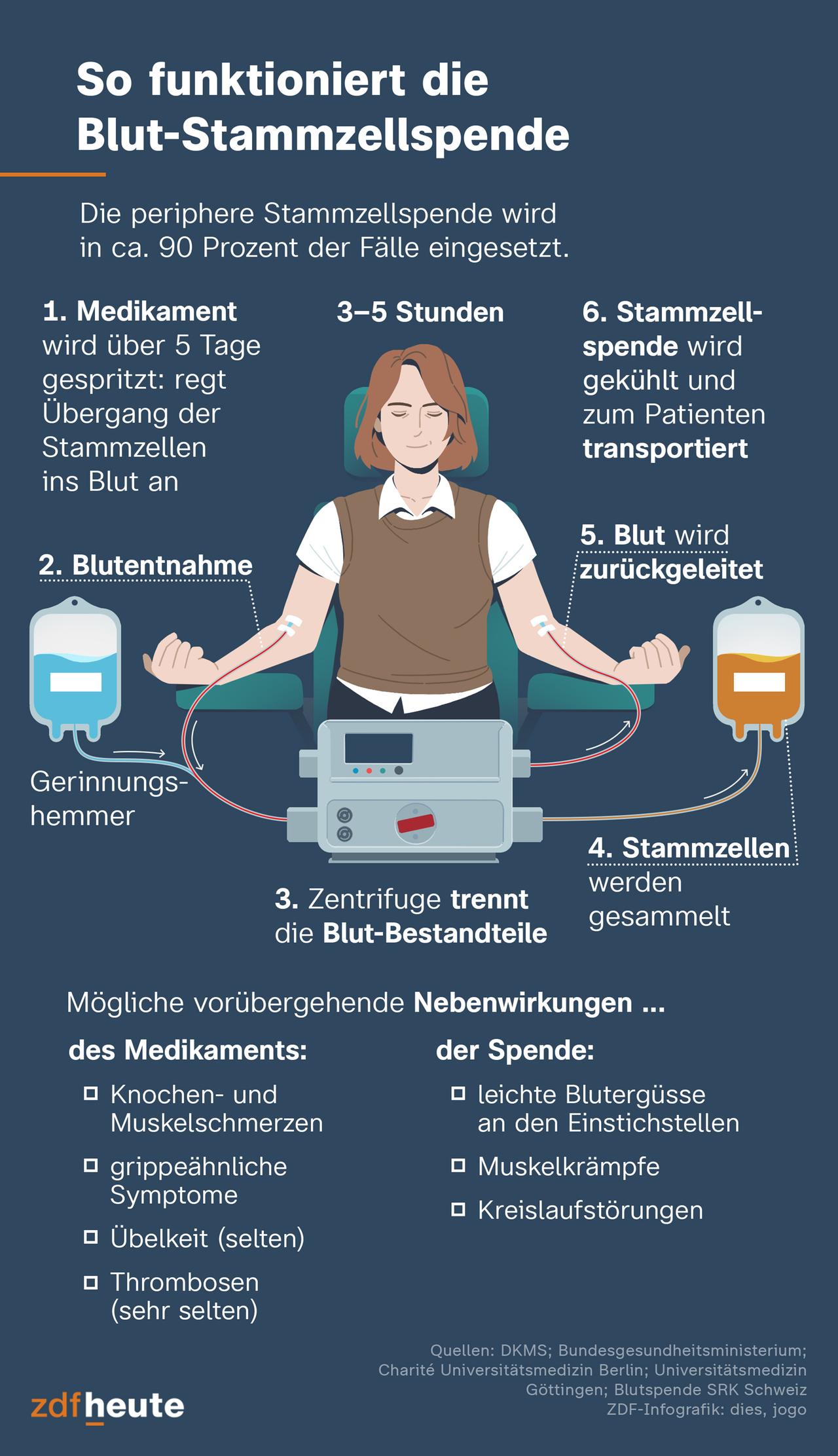 Die Grafik zeigt den Kreislauf der Blut-Stammzellspende: Nach Medikamenteneinnahme wird Blut entnommen, Stammzellen gesammelt und zum Patienten transportiert