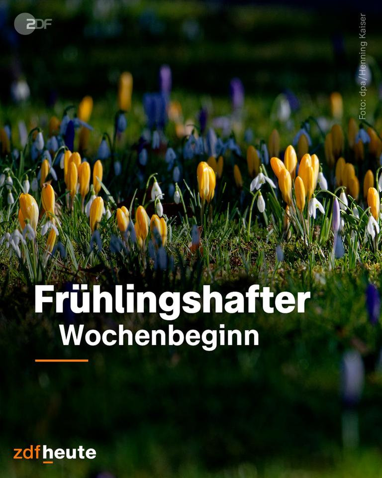 Grafik: Frühlingshafter Wochenbeginn