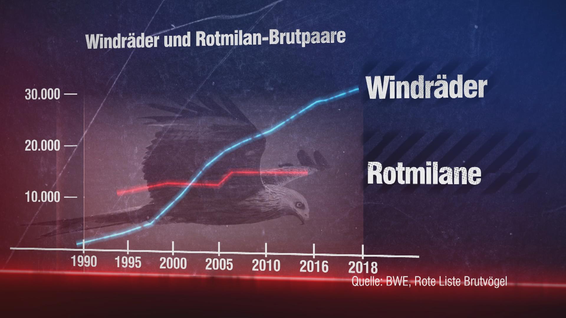 Grafik: Bedroht die Windkraft den Rotmilan?