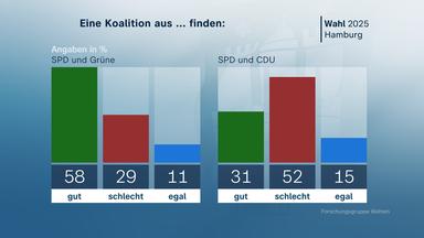 Grafik, Wahl, Hamburg, Koalition