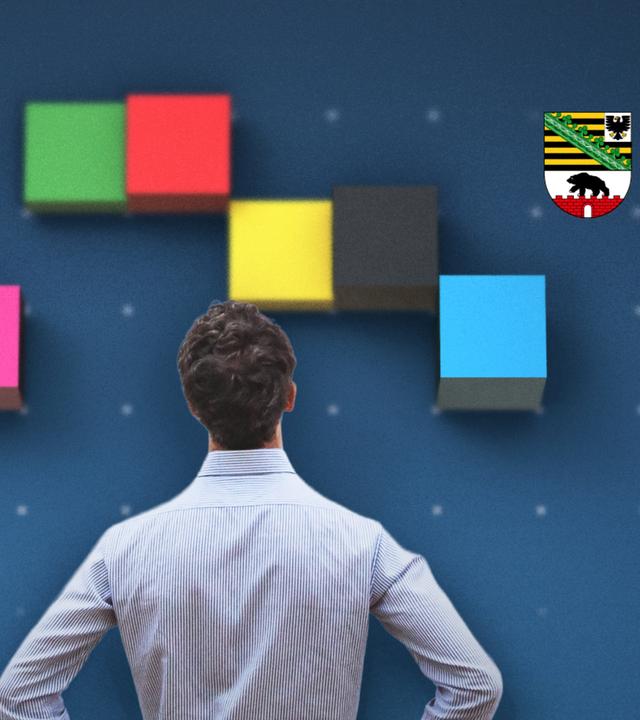 Eine Collage aus Farben der einzelnen Parteien und dem Wappen von Sachsen-Anhalt über einem Menschen von hinten, der zu nach oben schaut.