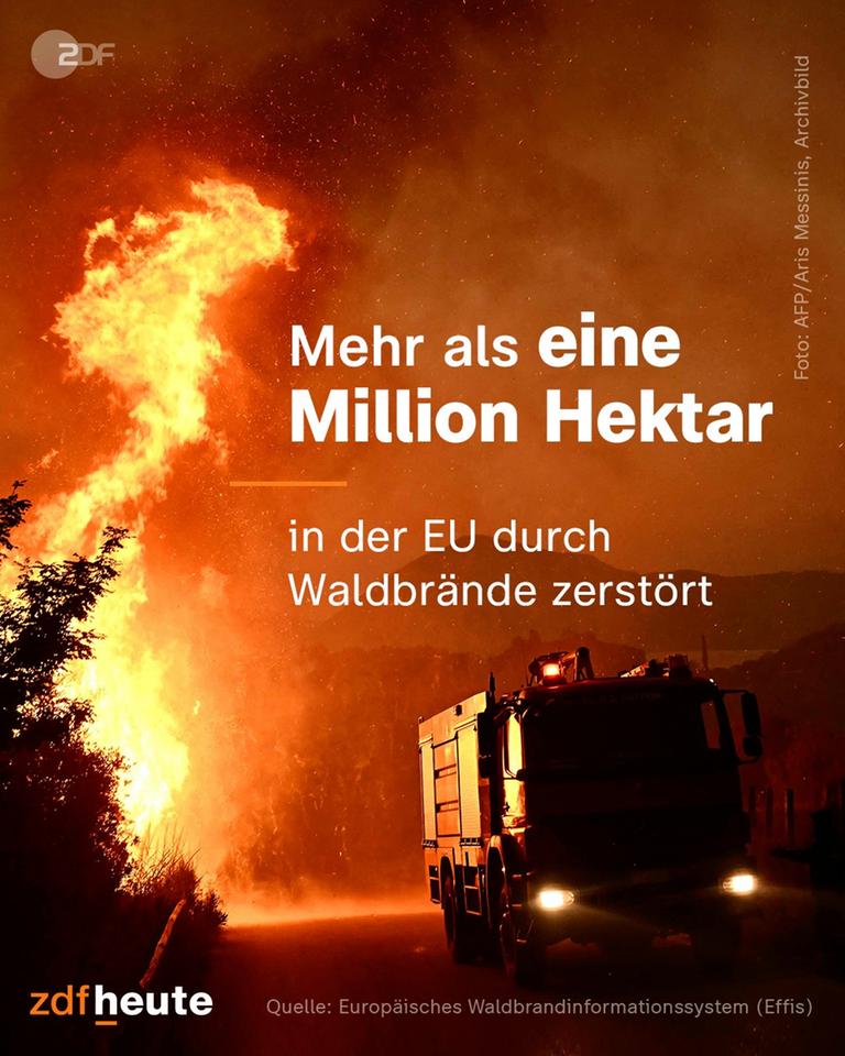 Grafik: Mehr als eine Million Hektar in der EU durch Waldbrände zerstört