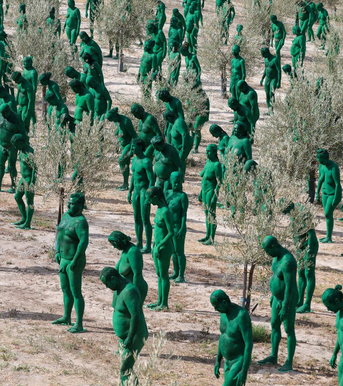 Hunderte grün bemalte Freiwillige aus aller Welt posieren für das Projekt "Portrait Alhambra 1925" des US-Künstlers Spencer Tunick in einem Olivenhain in Granada, Andalusien, Südspanien