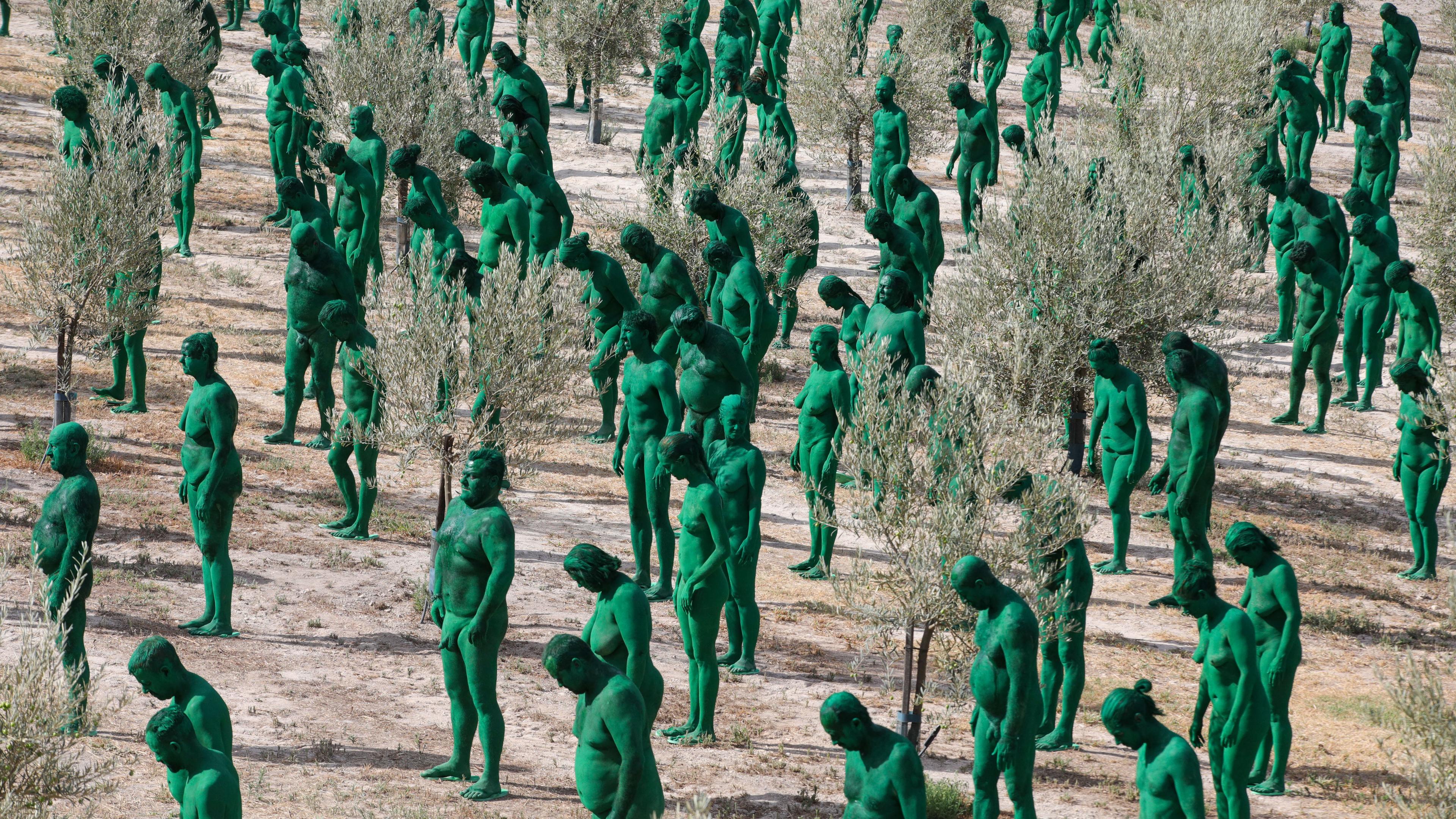 Hunderte grün bemalte Freiwillige aus aller Welt posieren für das Projekt "Portrait Alhambra 1925" des US-Künstlers Spencer Tunick in einem Olivenhain in Granada, Andalusien, Südspanien