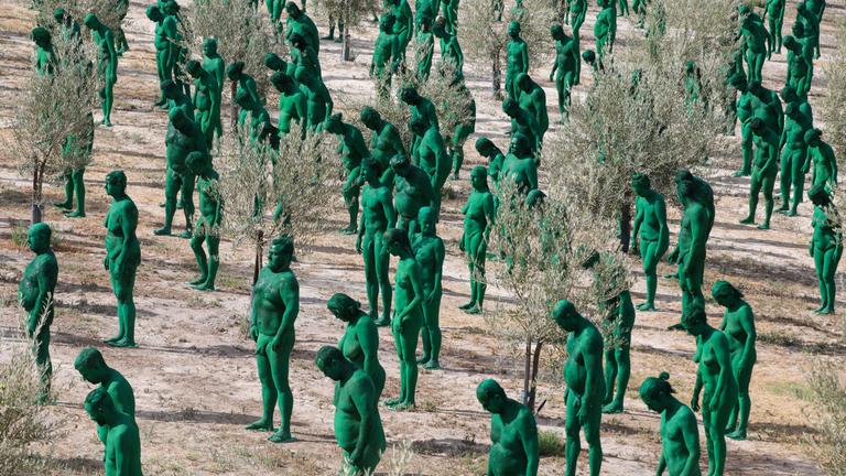 Hunderte grün bemalte Freiwillige aus aller Welt posieren für das Projekt "Portrait Alhambra 1925" des US-Künstlers Spencer Tunick in einem Olivenhain in Granada, Andalusien, Südspanien
