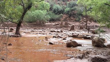 Mehrere Vermisste nach Sturzflut im Grand Canyon