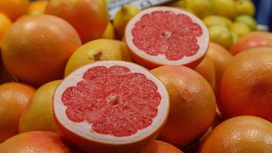 Grapefruit