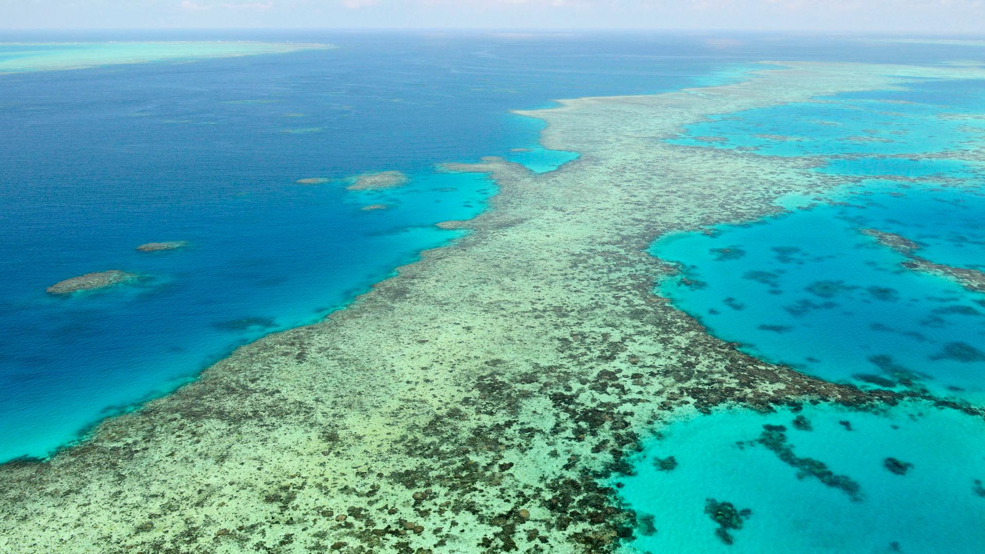 Blick auf das Great Barrier Reef in Australien