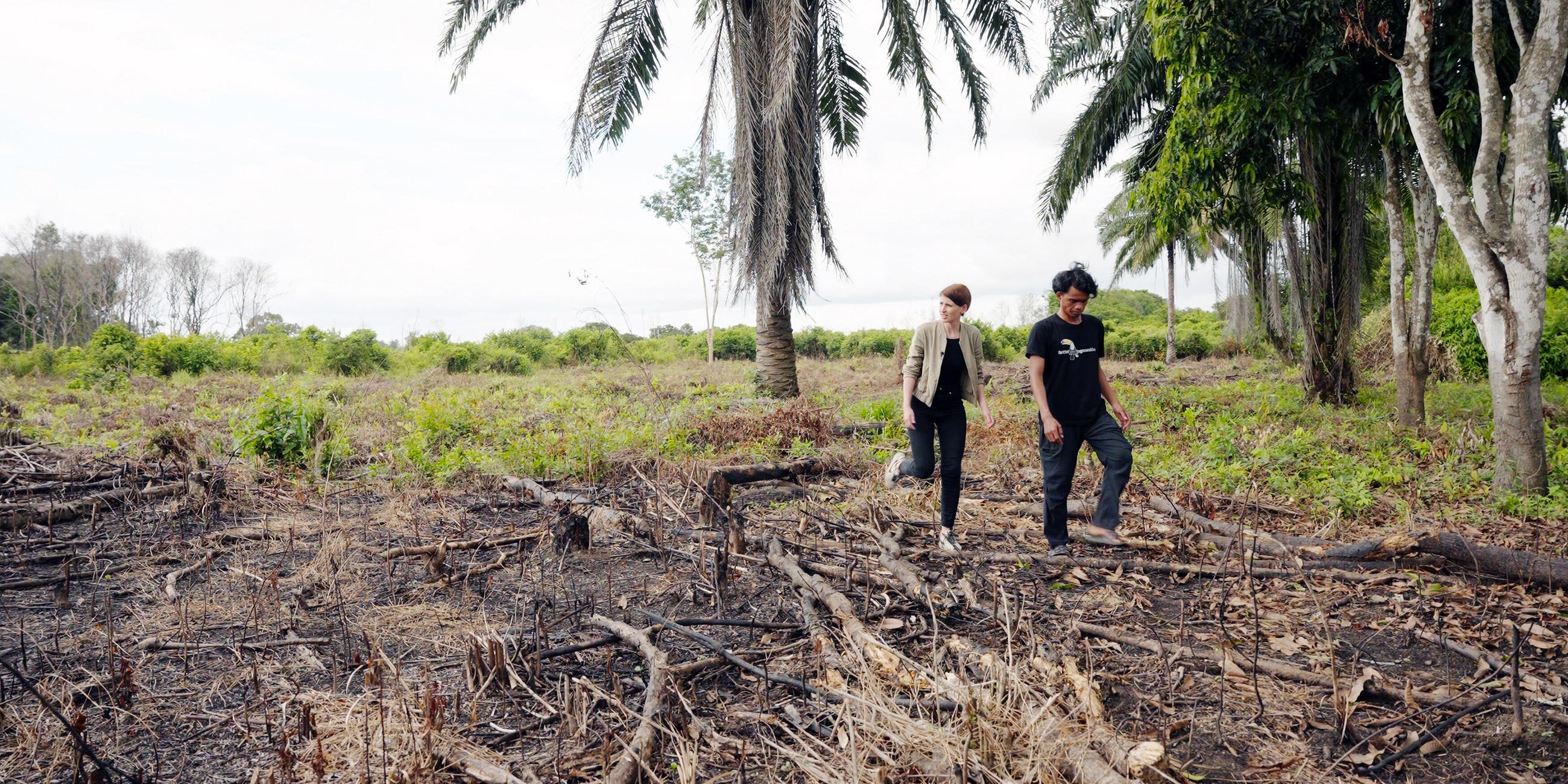 Zwei Personen gehen durch ein abgebranntes Waldstück mit Palmen im Hintergrund.