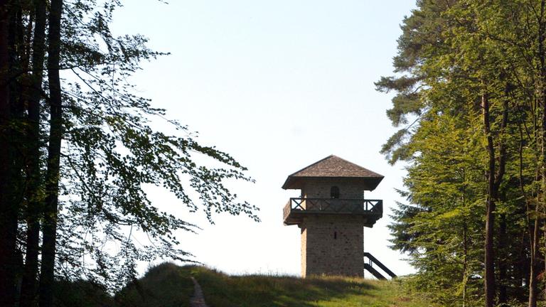 Ein Turm steht hinter einer leichten Anhöhe im Wald.