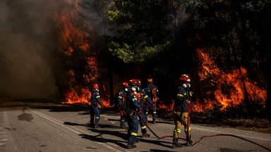 Griechische Feuerwehrleute bekämpfen einen Waldbrand bei Porto Germeno nordwestlich von Athen.