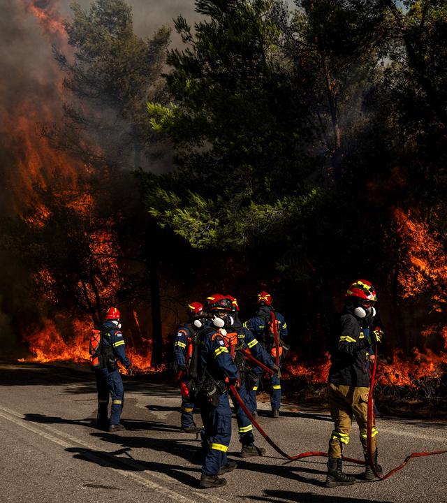 Griechische Feuerwehrleute bekämpfen einen Waldbrand bei Porto Germeno nordwestlich von Athen.