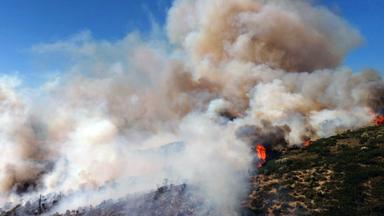 Griechenland: Ein Waldbrand wütet in den Wäldern im Gebiet Fichtia in der Region Argolis auf der Peloponnes