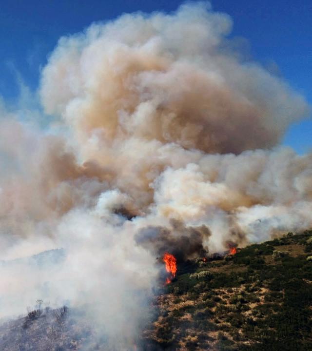 Griechenland: Ein Waldbrand wütet in den Wäldern im Gebiet Fichtia in der Region Argolis auf der Peloponnes