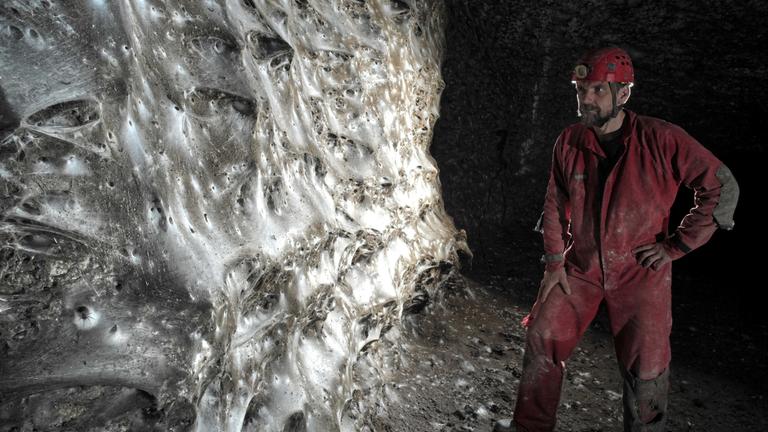 Ein Wissenschaftler vor dem riesigen Spinnennetz