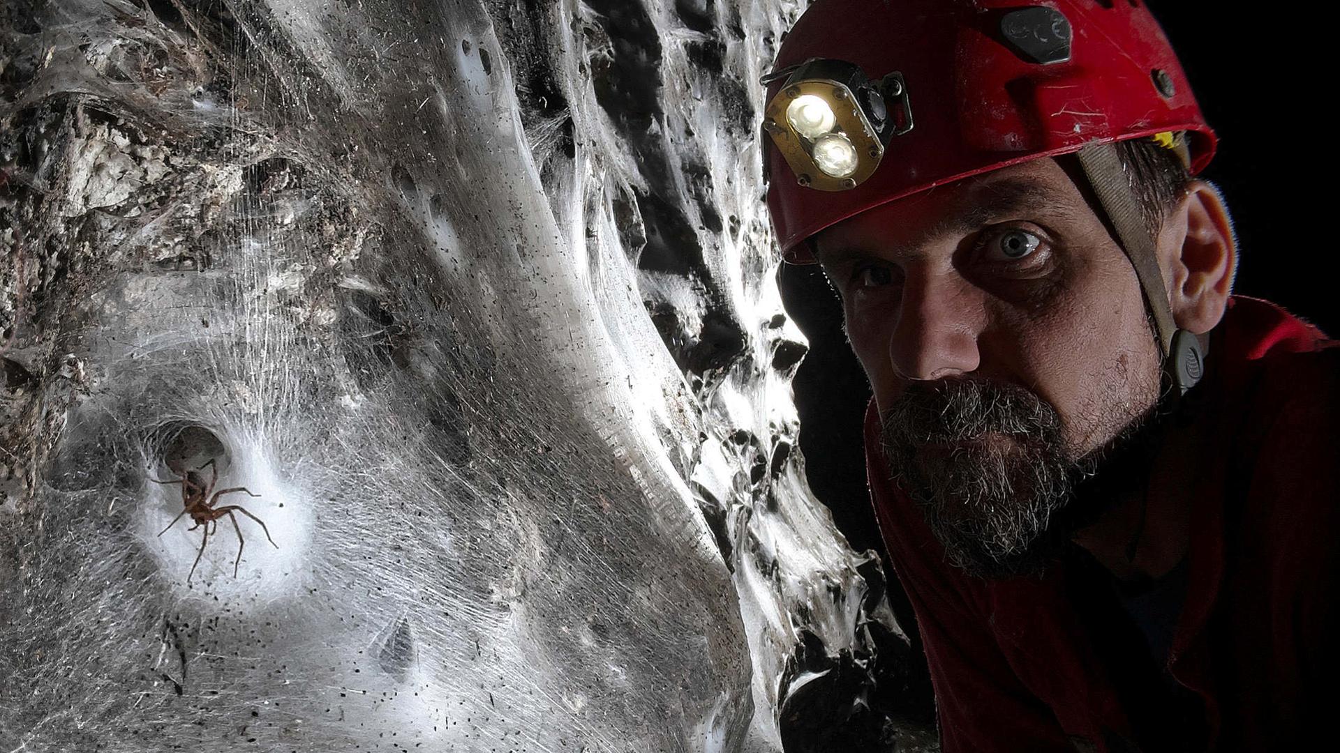 Ein Wissenschaftler vor dem riesigen Spinnennetz