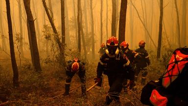 Feuerwehrmänner bekämpfen Waldbrände in Griechenland