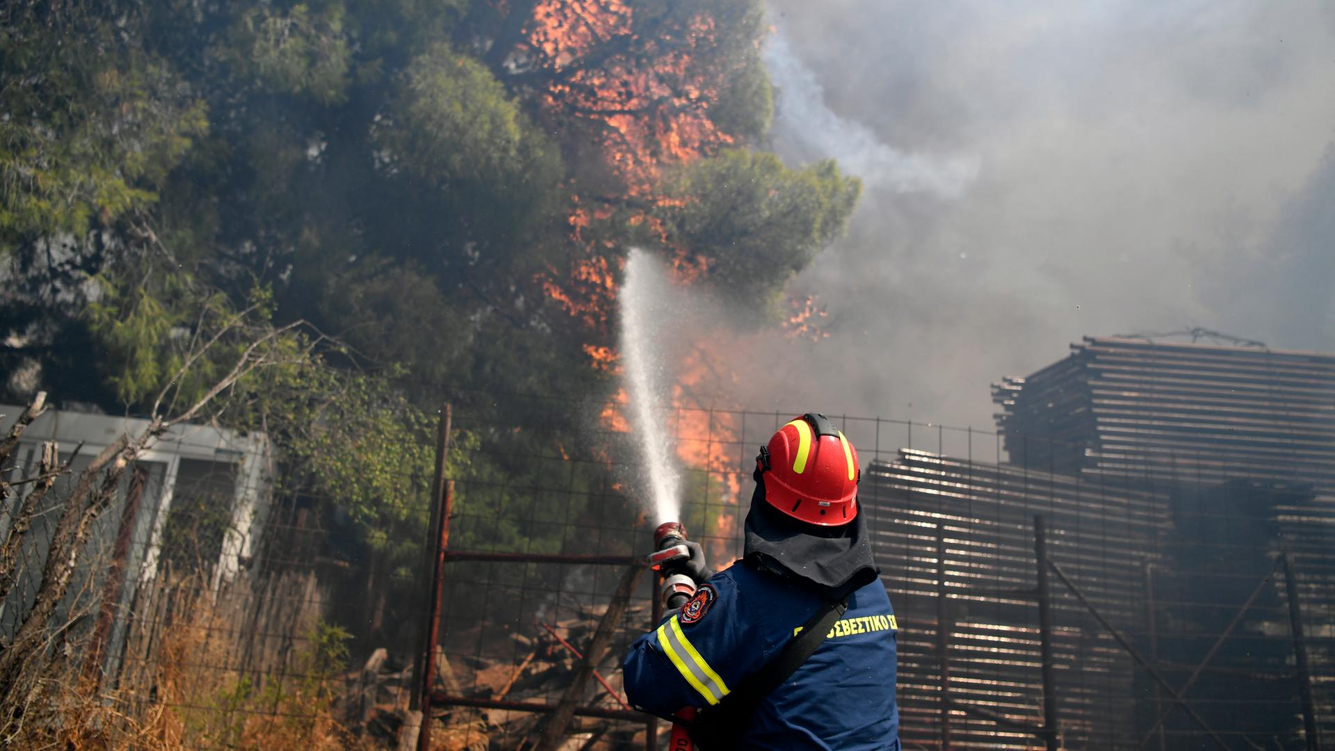 Ein Feuerwehrmann versucht, die Flammen an einem brennenden Baum im Norden Athens zu löschen