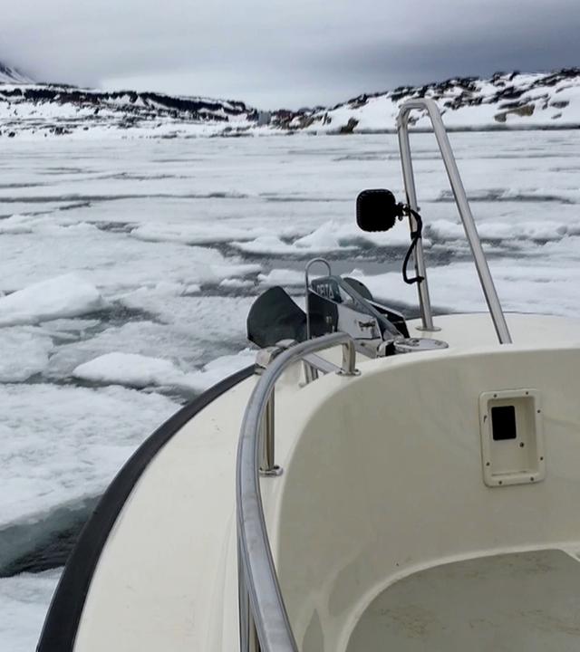Eisbrecher vor Grönland