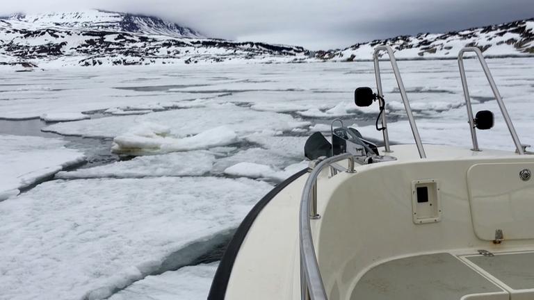 Eisbrecher vor Grönland