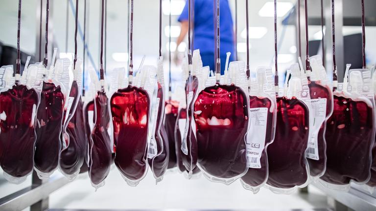 Blutkonserven hängen an einem Ständer in der Produktionsstätte für Blutprodukte