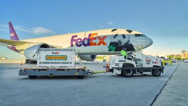 Ein Fedex Flugzeug, das die Großen Pandas nach Atlante transortiert hat. 