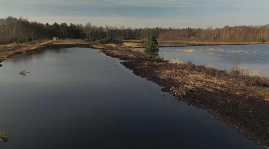Drohnenaufnahme des Großen Moor bei Gifhorn mit vollen Poldern